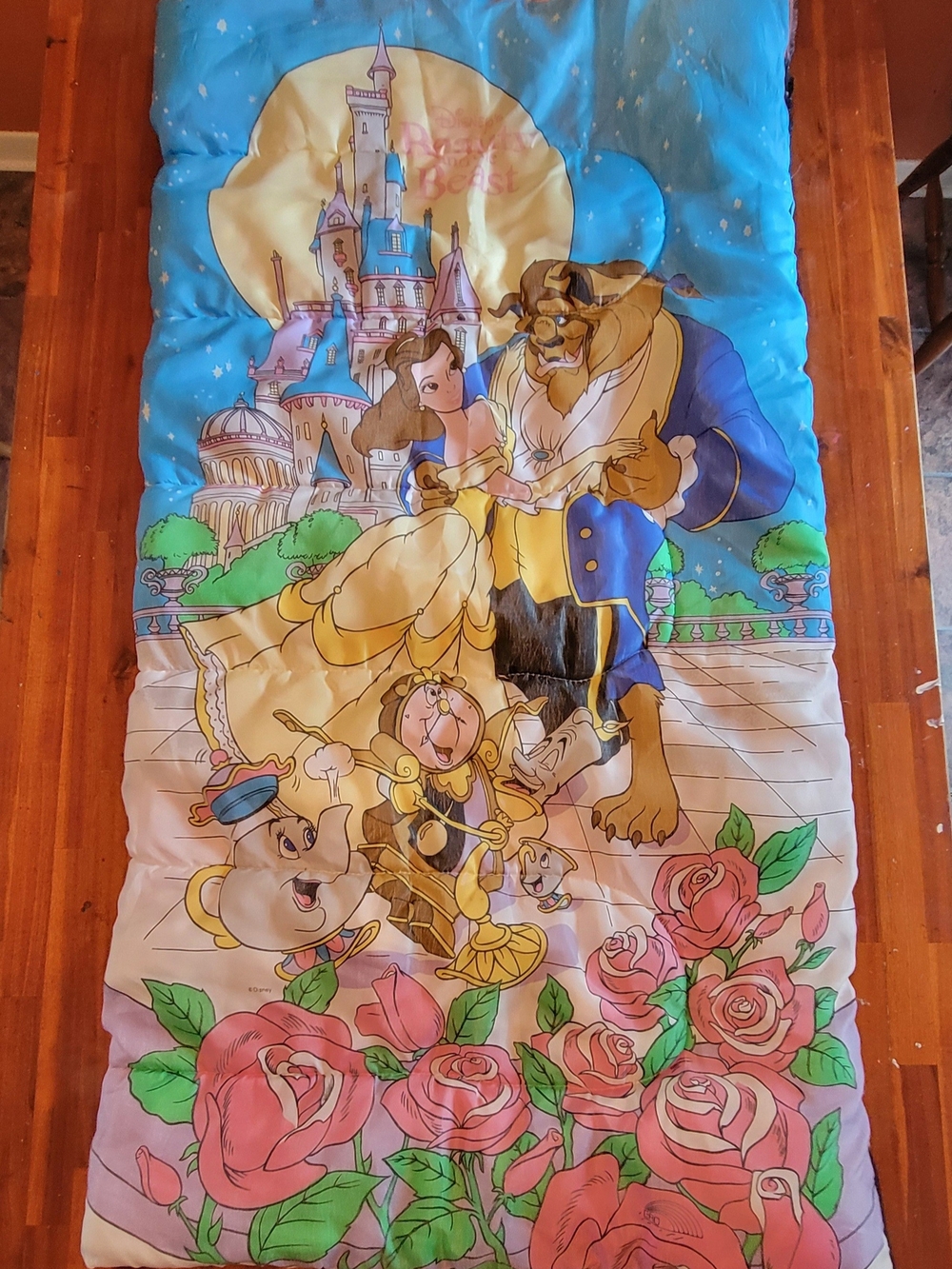 Disney Beauty & The Beast Sleeping Bag Youth 1990s Vintage
